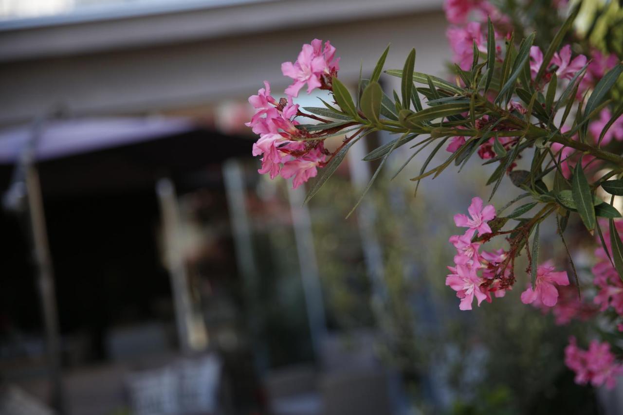 Guest House Lorenta Vodice Exterior foto